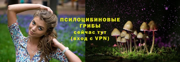бутират Пересвет
